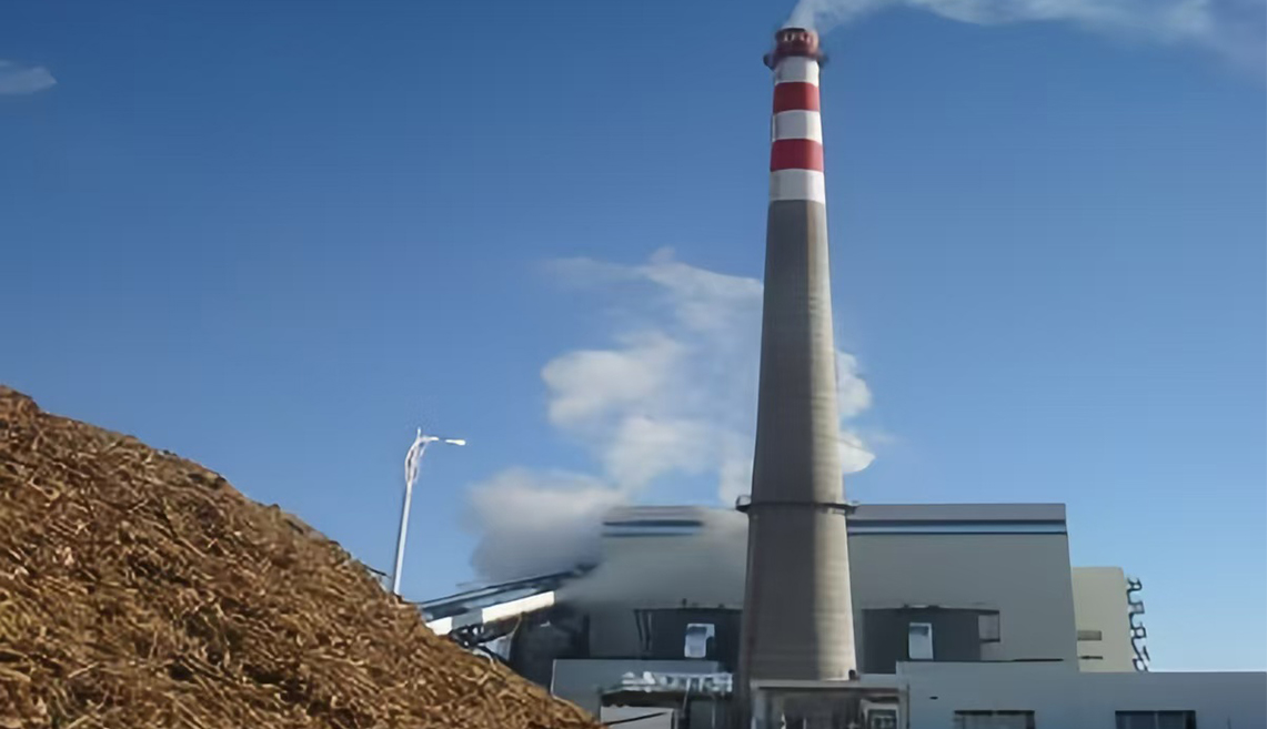 Proiectul de generare a energiei din biomasă Wuhan Kaidi