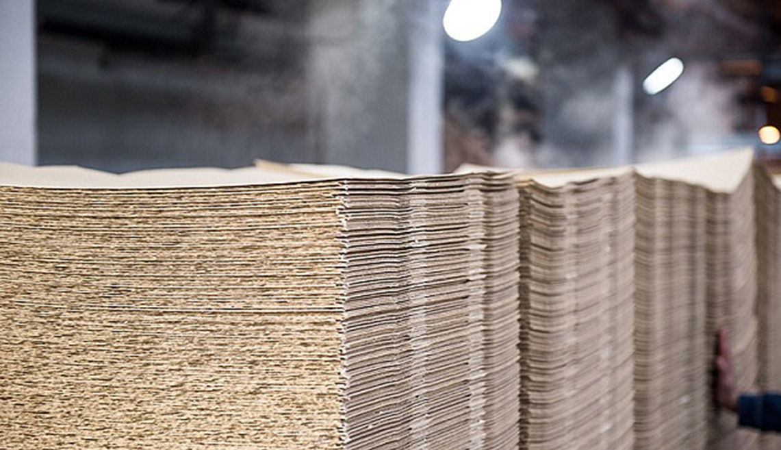 Proiectul Shandong Rizhao Pulp