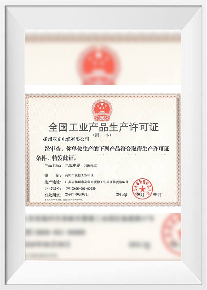 Licență de producție 2021